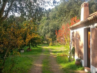 Vakantiehuisje Odemira Buitenaudio-opname 2