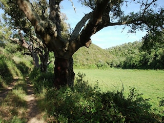 Cottage Odemira Umgebung 30