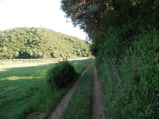 Casa vacanze Odemira Ambiente 26