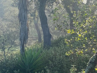 Casa vacanze Odemira Ambiente 29