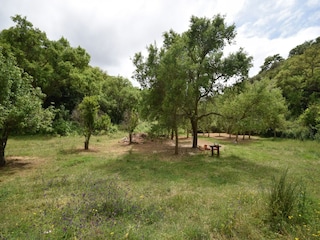 Holiday cottage Odemira Outdoor Recording 9