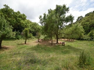 Casa de vacaciones Odemira Grabación al aire libre 6