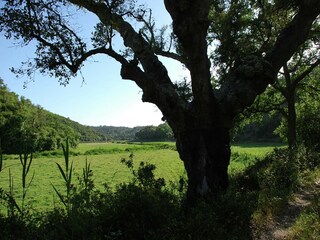 Holiday cottage Odemira Environment 19