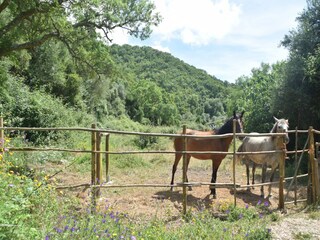 Holiday cottage Odemira Environment 20