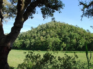 Maison de vacances Odemira Environnement 31
