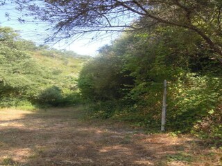 Cottage Odemira Umgebung 32