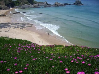 Holiday cottage Odemira Environment 24