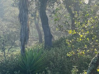 Casa de vacaciones Odemira Entorno 25