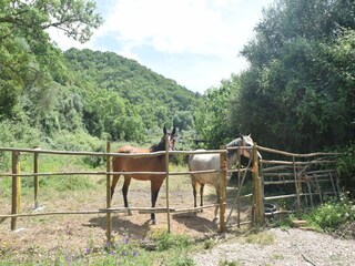 Casa vacanze Odemira Ambiente 26