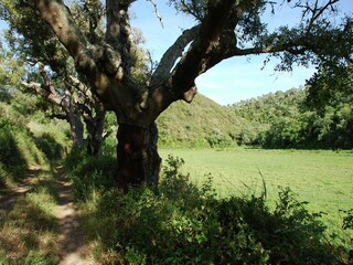 Casa de vacaciones Odemira Entorno 33