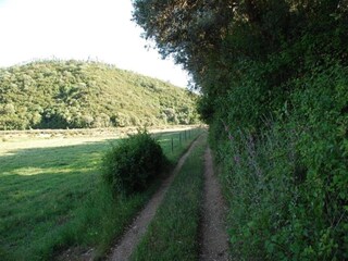 Casa de vacaciones Odemira Entorno 27