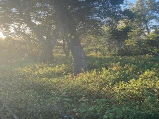 Cottage Odemira Umgebung 36