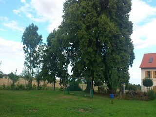 Apartamento Ballenstedt Grabación al aire libre 3