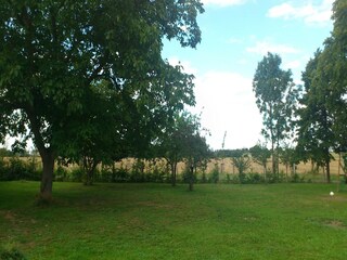Apartamento Ballenstedt Grabación al aire libre 1