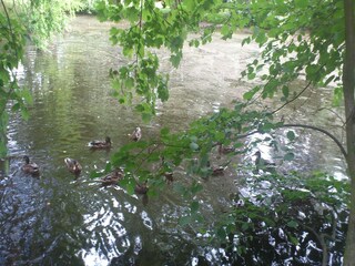 Appartement Ballenstedt  39