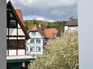 Apartamento Hofheim Entorno 17