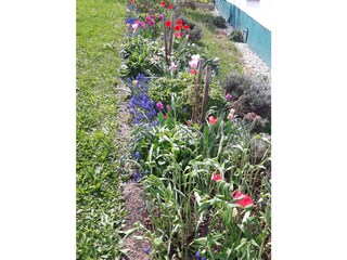 Maison de vacances Kirchberg im Wald Enregistrement extérieur 5