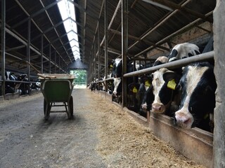 Casa de vacaciones Geesteren Entorno 26