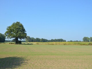 Vakantiehuis Geesteren Buitenaudio-opname 4