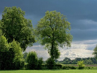 Casa de vacaciones Geesteren Grabación al aire libre 6