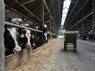 Ferienhaus Geesteren Umgebung 30