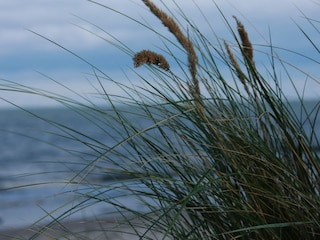 am Strand 1