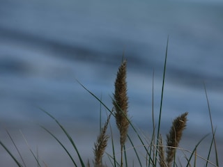 Strand 2