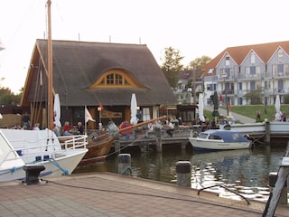 Zingster Hafen