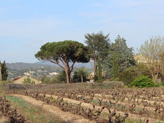 Casa per le vacanze Le Plan-de-la-Tour Ambiente 32