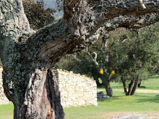 Casa per le vacanze Le Plan-de-la-Tour Ambiente 39
