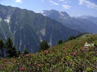 Appartamento per vacanze Hippach Ambiente 12