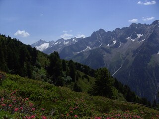 Appartamento per vacanze Hippach Ambiente 13