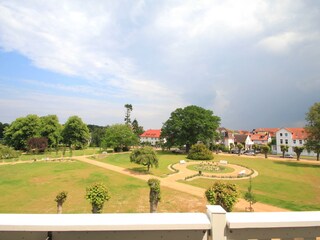 Blick vom Balkon in den Lindenpark