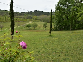 Maison de vacances Gindou Enregistrement extérieur 6