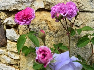 Ferienhaus Gindou  36