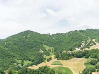 Fattoria Sestino Ambiente 30
