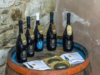 Farmhouse Sestino  37