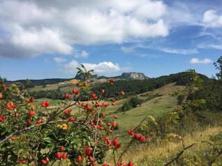 Fattoria Sestino Ambiente 33
