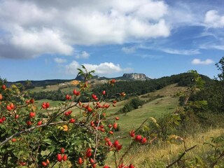 Type de propriété : Ferme Sestino Environnement 34