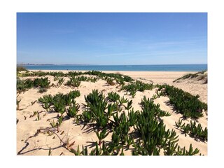 Appartamento per vacanze Lagos Ambiente 28