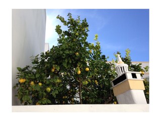 Appartamento per vacanze Lagos Ambiente 31