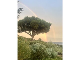 Villa Les Issambres Buitenaudio-opname 10