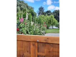 Blick über den Gartenzaun