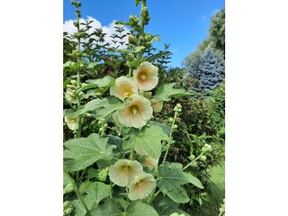 Ferienhaus Kramerhof Außenaufnahme 10