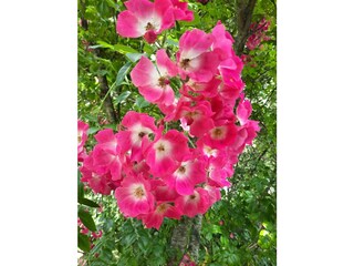 Ferienhaus Kramerhof Außenaufnahme 11