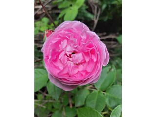 Ferienhaus Kramerhof Außenaufnahme 12