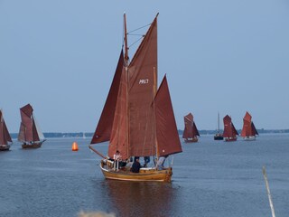 Zeesboot-Regatta