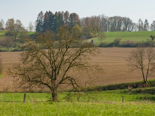 Ferienhaus Emmerthal Umgebung 32