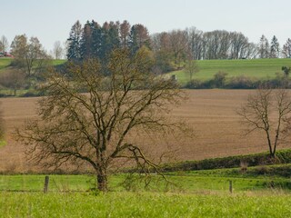 Vakantiehuis Emmerthal Omgeving 32