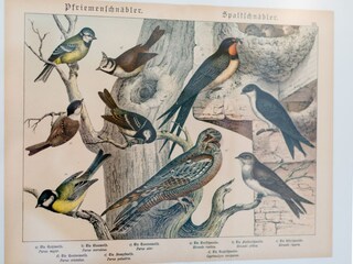 Vakantiehuis Emmerthal  40